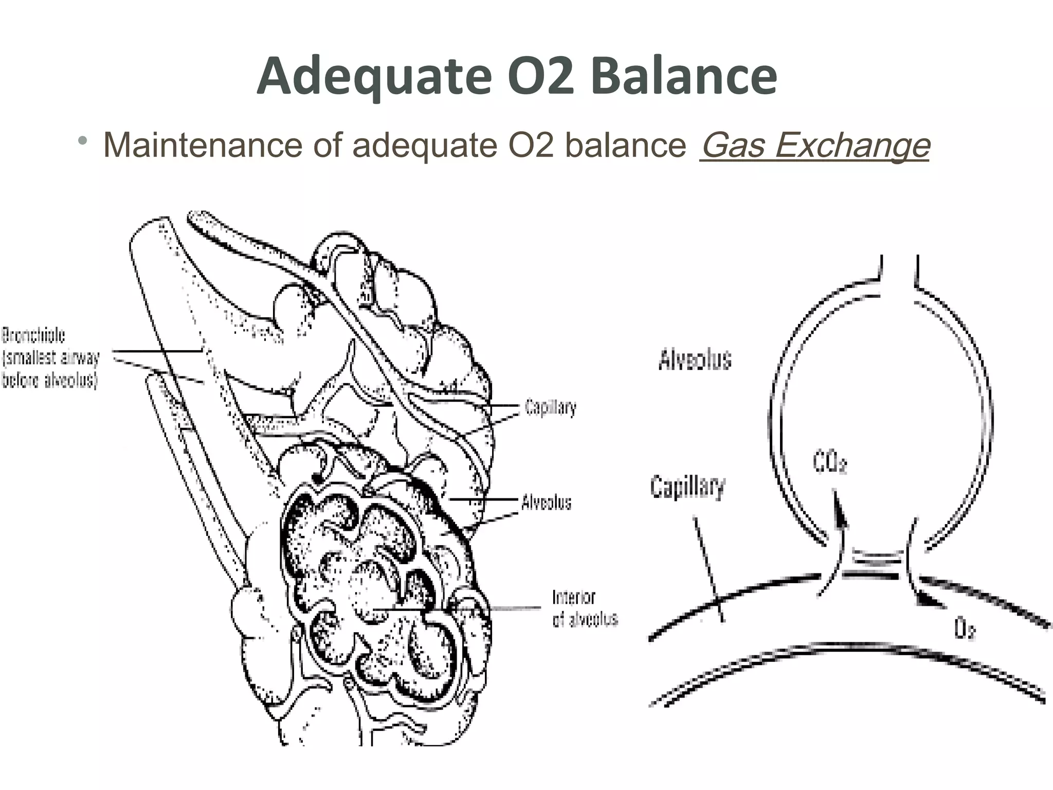 nursing - oxygenation | PPT