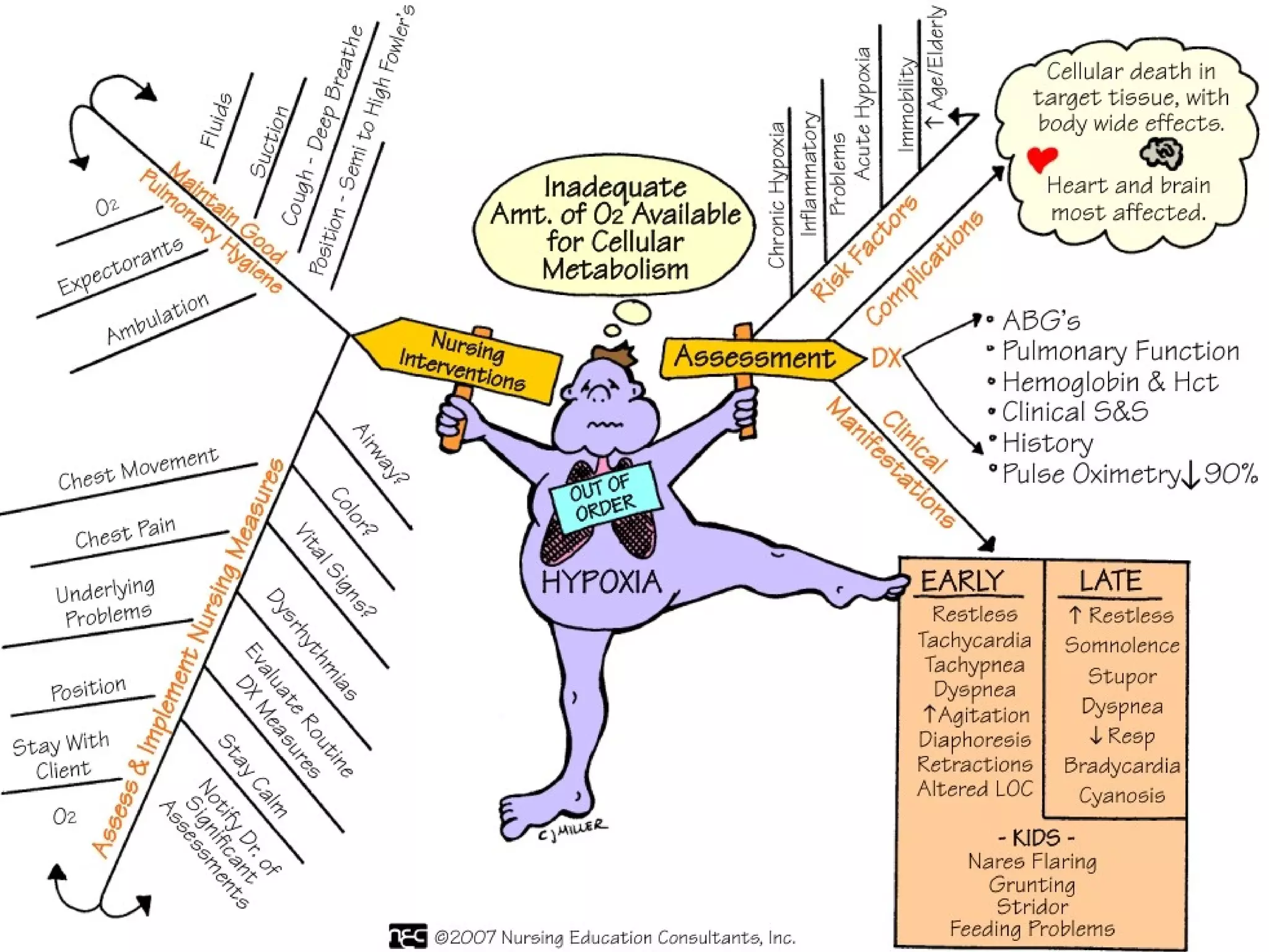 8 2 OXYGENATION BASIC CONCEPTS NURSING FUNDAMENTALS 2E visual data 3