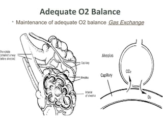 nursing - oxygenation | PPT