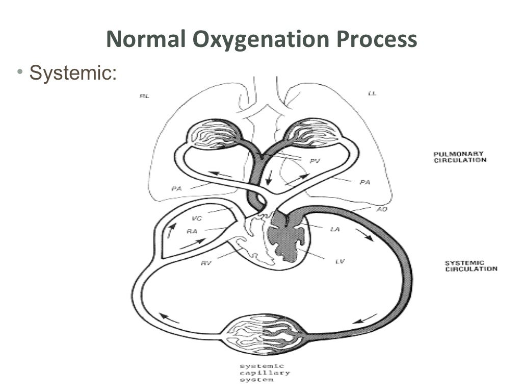 nursing oxygenation