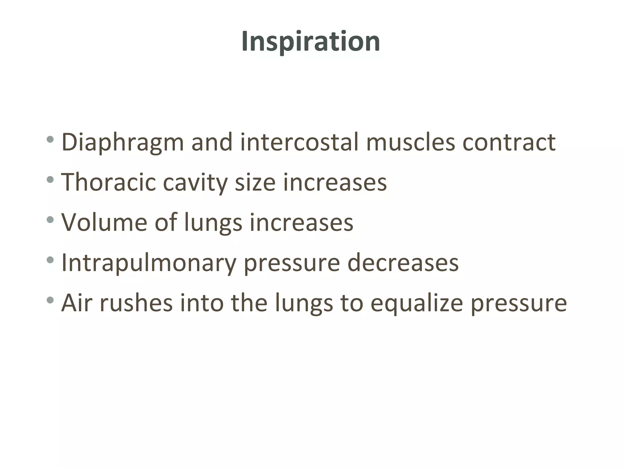 Inspiration


• Diaphragm and intercostal muscles contract
• Thoracic cavity size increases
• Volume of lungs increases
• Intrapulmonary pressure decreases
• Air rushes into the lungs to equalize pressure
 