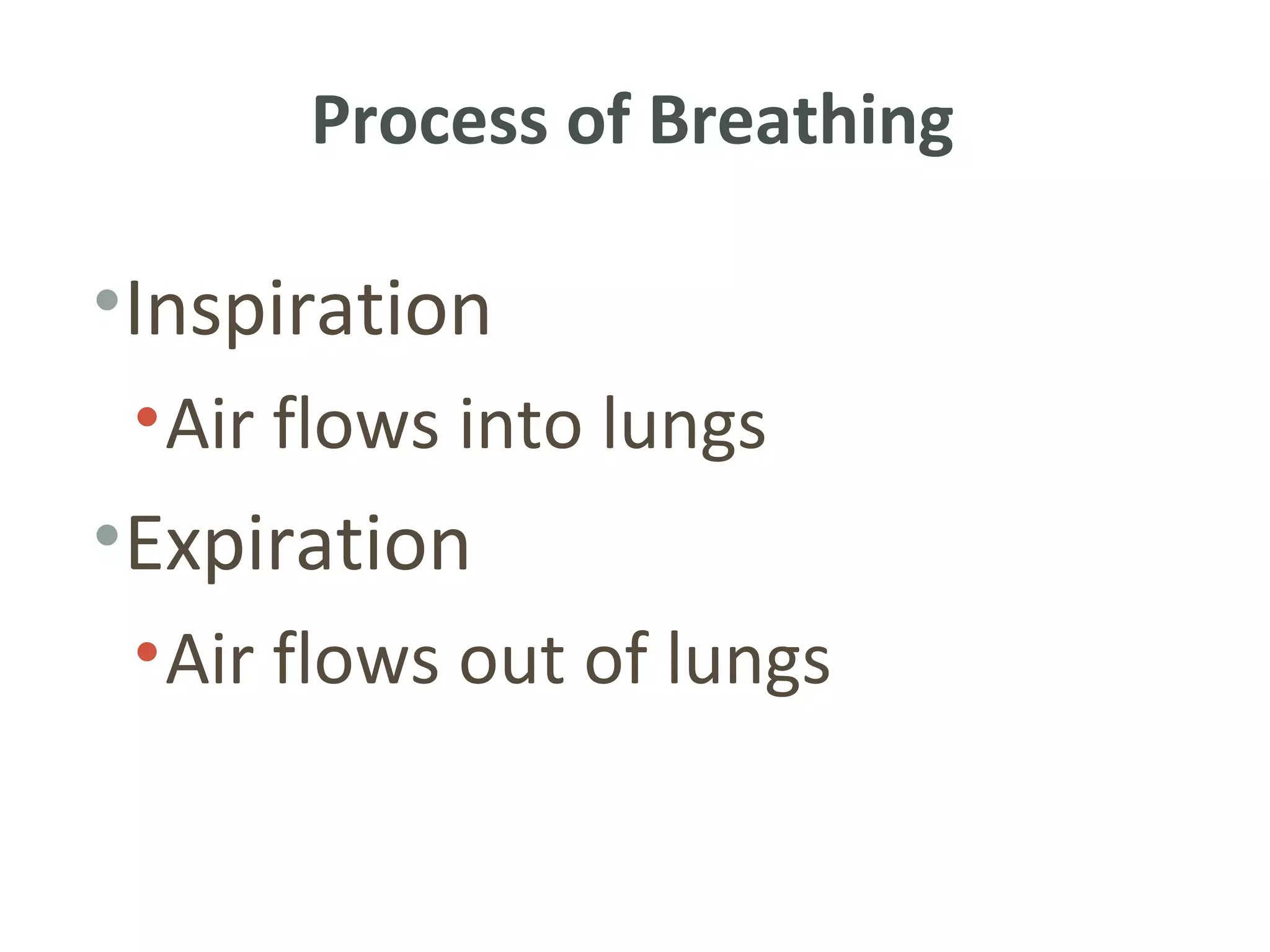 Process of Breathing

•Inspiration
 • Air flows into lungs
•Expiration
 • Air flows out of lungs
 