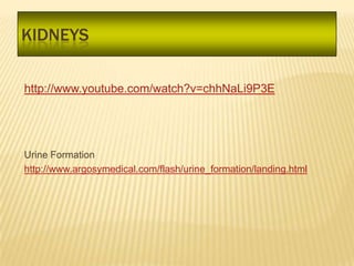KIDNEYS

http://www.youtube.com/watch?v=chhNaLi9P3E




Urine Formation
http://www.argosymedical.com/flash/urine_formation/landing.html
 