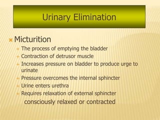 Urinary Elimination

 Micturition
   The process of emptying the bladder

   Contraction of detrusor muscle

   Increases pressure on bladder to produce urge to
    urinate
   Pressure overcomes the internal sphincter

   Urine enters urethra

   Requires relaxation of external sphincter

      consciously relaxed or contracted
 
