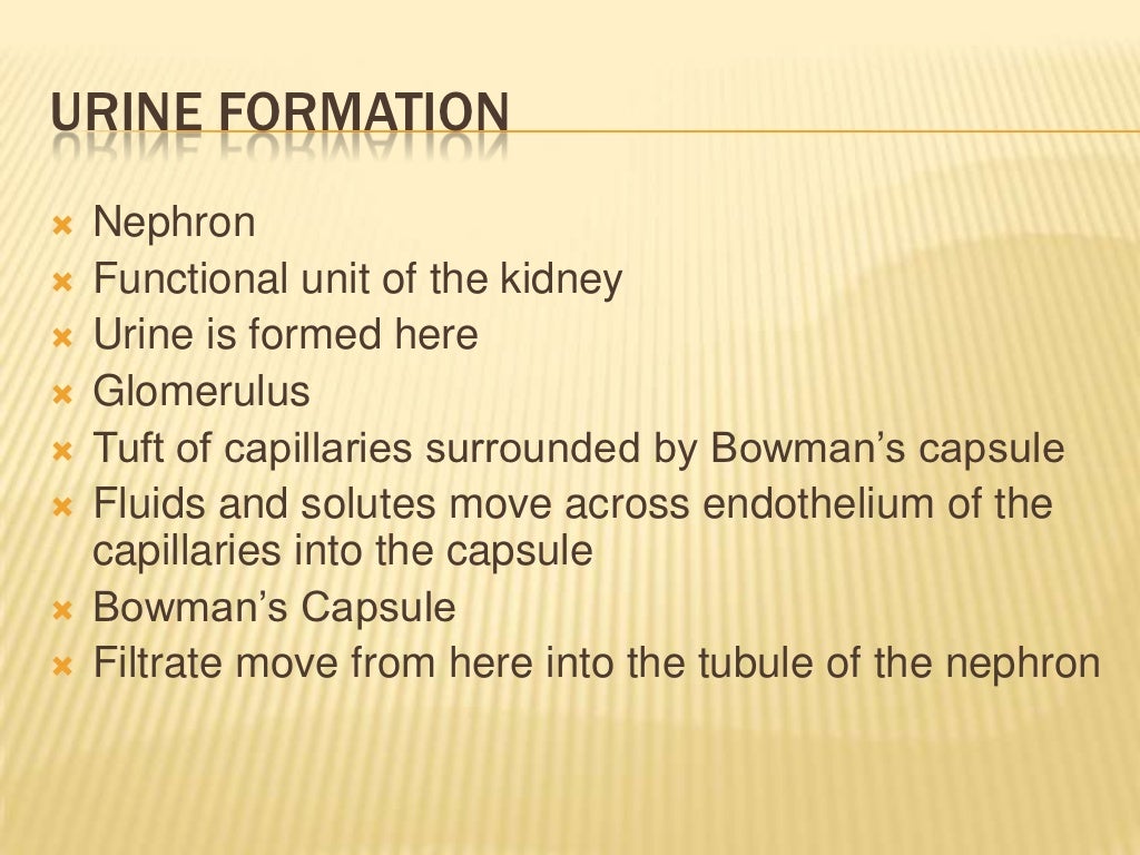 elimination, nursing
