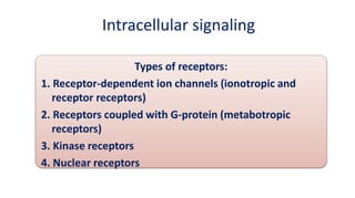 Experiments on isolated vascular rings | PPTX