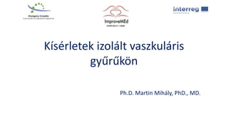 Kísérletek izolált vaszkuláris
gyűrűkön
Ph.D. Martin Mihály, PhD., MD.
 