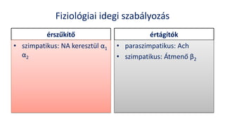 Fiziológiai idegi szabályozás
érszűkítő
• szimpatikus: NA keresztül α1
α2
értágítók
• paraszimpatikus: Ach
• szimpatikus: Átmenő β2
 