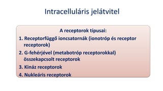 Intracelluláris jelátvitel
A receptorok típusai:
1. Receptorfüggő ioncsatornák (ionotróp és receptor
receptorok)
2. G-fehérjével (metabotróp receptorokkal)
összekapcsolt receptorok
3. Kináz receptorok
4. Nukleáris receptorok
 