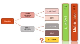 24 patkány
12 Ctrl.
(ellenőrzés)
12 DM
(cukorbetegség,
kezelt STZ)
6 Ctrl.
6 Ctrl. + citrát
6 DM
6 DM + HOBT
L-NAME
klotrimazol
Els
ő
Má
so
dik
Ctrl. + HBOT
 