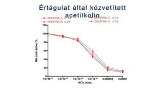 Értágulat által közvetített
acetilkolin
 