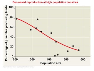 Decreased reproduction at high population densities
Population size
100
80
60
40
20
0
200 400 500 600
300
Percentage
of
juveniles
producing
lambs
 
