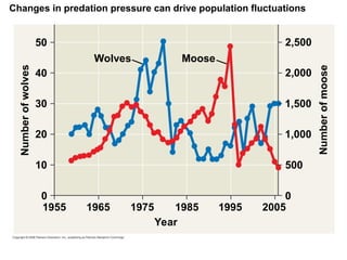Changes in predation pressure can drive population fluctuations
Wolves Moose
2,500
2,000
1,500
1,000
500
Number
of
moose
0
Number
of
wolves
50
40
30
20
10
0
1955 1965 1975 1985 1995 2005
Year
 