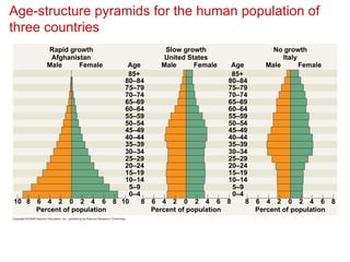 Age-structure pyramids for the human population of
three countries
Rapid growth
Afghanistan
Male Female Age Age
Male Female
Slow growth
United States
Male Female
No growth
Italy
85+
80–84
75–79
70–74
60–64
65–69
55–59
50–54
45–49
40–44
35–39
30–34
25–29
20–24
15–19
0–4
5–9
10–14
85+
80–84
75–79
70–74
60–64
65–69
55–59
50–54
45–49
40–44
35–39
30–34
25–29
20–24
15–19
0–4
5–9
10–14
10 10
8 8
6
6 4 4
2
2 0
Percent of population Percent of population Percent of population
6
6 4 4
2
2 0
8 8 6
6 4 4
2
2 0
8 8
 