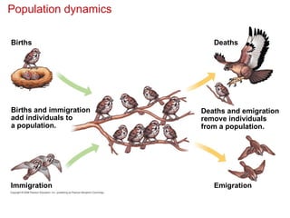 Population dynamics
Births
Births and immigration
add individuals to
a population.
Immigration
Deaths and emigration
remove individuals
from a population.
Deaths
Emigration
 