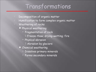 Rock Humification Soil(3) | PPT