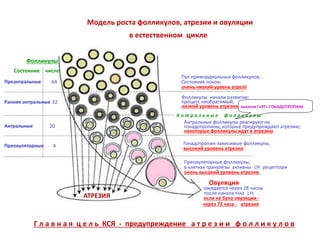 Модель роста фолликулов, атрезии и овуляции
в естественном цикле
Пул примордиальных фолликулов,
Состояние покоя;
очень низкий урвень атрезії
Фолликулы начали развитие:
процесс необратимый,
низкий уровень атрезии
А н т р а л ь н ы е ф о л л и к у л ы
Антральные фолликулы реагируют на
гонадотропины, которые предупреждают атрезию;
некоторые фолликулы идут в атрезию
Гонадотропин-зависимые фолликулы,
высокий уровень атрезии
Преовуляторные фолликулы,
в клетках гранулёзы активны LH рецептори
очень высокий уровень атрезии
Овуляция
ожидается через 28 часов
после начала піка LH;
если не було овуляции -
через 72 часа - атрезия
аналоги ГнРГ+ ГОНАДОТРОПІНЫ
АТРЕЗИЯ
Фолликулы
Состояние число
Преантральные 64
Ранние антральные 32
Антральные 20
Преовуляторные 4
Г л а в н а я ц е л ь КСЯ - предупреждение а т р е з и и ф о л л и к у л о в
 