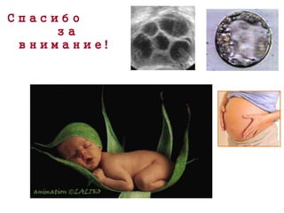 Спасибо
за
внимание!
 