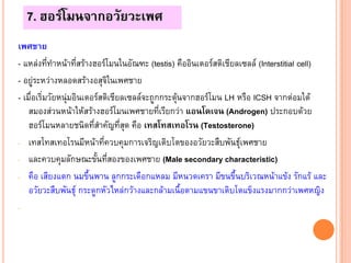 7. ฮอรโมนจากอวัยวะเพศ
เพศชาย
- แหลงที่ทําหนาทีสรางฮอรโมนในอัณฑะ (testis) คืออินเตอรสติเชียลเซลล (Interstitial cell)
                     ่
- อยูระหวางหลอดสรางอสุจิในเพศชาย
- เมื่อเริ่มวัยหนุมอินเตอรสติเชียลเซลลจะถูกกระตุนจากฮอรโมน LH หรือ ICSH จากตอมใต
    สมองสวนหนาใหสรางฮอรโมนเพศชายทีเรียกวา แอนโดเจน (Androgen) ประกอบดวย
                                              ่
    ฮอรโมนหลายชนิดที่สําคัญที่สุด คือ เทสโทสเทอโรน (Testosterone)
- เทสโทสเทอโรนมีหนาที่ควบคุมการเจริญเติบโตของอวัยวะสืบพันธุเพศชาย

- และควบคุมลักษณะขั้นที่สองของเพศชาย (Male secondary characteristic)

- คือ เสียงแตก นมขึ้นพาน ลูกกระเดือกแหลม มีหนวดเครา มีขนขึ้นบริเวณหนาแขง รักแร และ
    อวัยวะสืบพันธุ กระดูกหัวไหลกวางและกลามเนื้อตามแขนขาเติบโตแข็งแรงมากกวาเพศหญิง
-



                                                                                85
 