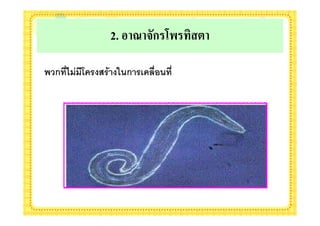 2.        ก ;< =/%>

ก 8< ; B $ 7$= F)ก $& 8!) 8
 