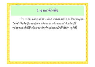 3. ! 4 5(ก$
      . ' $ก - & ! /    ! / ? ! /' $ก - & ! 4
    4 <= /      4.    /   2 &      * & 4 &
.                 8 #ก . - ก '(            %
 