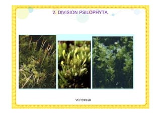 2. DIVISION PSILOPHYTA




             $
 