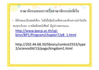 &'(')*ก,-&./&,'0,1&&'(')*ก,23456.,67
- ก68$ '( ! /    *       +&       & ' *     )
 .- ก- 8 -
    +             4 <= / '     --
  http://www.ipecp.ac.th/cgi-
  binn/BP1/Program/chapter7/p8_1.html

 http://202.44.68.33/library/contest2553/type
 2/science04/13/page/kingdom1.html
 