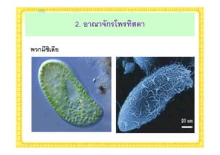 2. ! 4 5(ก$B $ 079

ก >0&
 