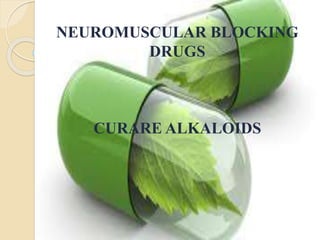 NEUROMUSCULAR BLOCKING
DRUGS
CURARE ALKALOIDS
 