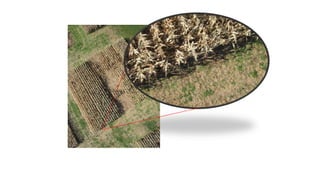 Dorn Cox - Soil + Silicon: Open Source Tools for Cover Cropping, Grazing and Organic No-Till