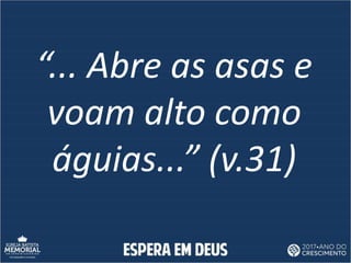 “... Abre as asas e
voam alto como
águias...” (v.31)
 