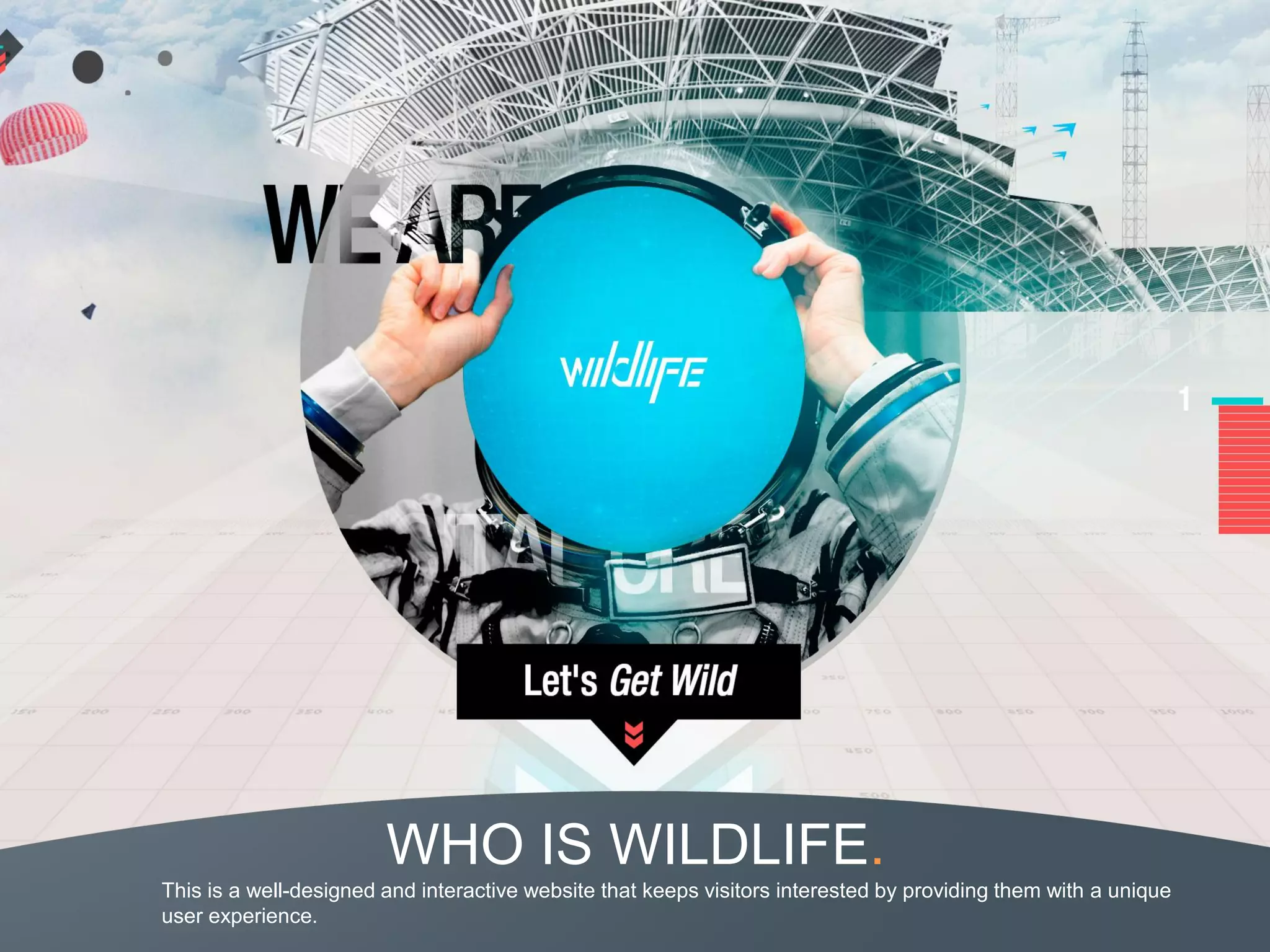 WHO IS WILDLIFE.
This is a well-designed and interactive website that keeps visitors interested by providing them with a unique
user experience.
 