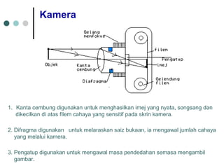 Kamera
1. Kanta cembung digunakan untuk menghasilkan imej yang nyata, songsang dan
dikecilkan di atas filem cahaya yang sensitif pada skrin kamera.
2. Difragma digunakan untuk melaraskan saiz bukaan, ia mengawal jumlah cahaya
yang melalui kamera.
3. Pengatup digunakan untuk mengawal masa pendedahan semasa mengambil
gambar.
 