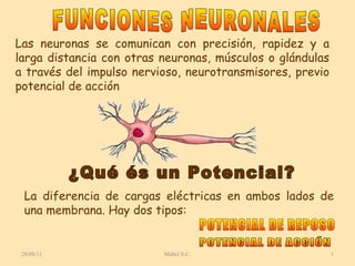 28/08/11 Mabel S.C. Las neuronas se comunican con precisión, rapidez y a larga distancia con otras neuronas, músculos o glándulas a través del impulso nervioso, neurotransmisores, previo potencial de acción POTENCIAL DE REPOSO  FUNCIONES NEURONALES  ¿Qué és un Potencial?  POTENCIAL DE ACCIÓN La diferencia de cargas eléctricas en ambos lados de una membrana. Hay dos tipos: 
