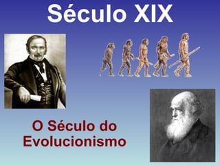 Século XIX O Século do Evolucionismo 