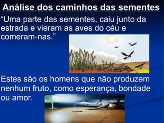 Análise dos caminhos das sementes “ Uma parte das sementes, caiu junto da estrada e vieram as aves do céu e comeram-nas.” Estes são os homens que não produzem nenhum fruto, como esperança, bondade ou amor. 