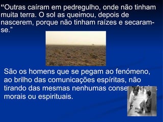 “ Outras caíram em pedregulho, onde não tinham muita terra. O sol as queimou, depois de nascerem, porque não tinham raízes e secaram-se.”  São os homens que se pegam ao fenómeno, ao brilho das comunicações espíritas, não tirando das mesmas nenhumas consequências morais ou espirituais. 