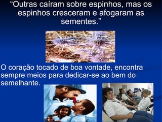 “ Outras caíram sobre espinhos, mas os espinhos cresceram e afogaram as sementes.” O coração tocado de boa vontade, encontra sempre meios para dedicar-se ao bem do semelhante. 