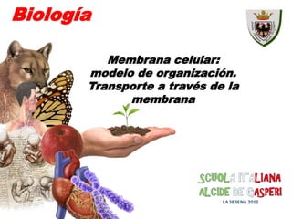 Membrana celular:
modelo de organización.
Transporte a través de la
membrana
Biología
 