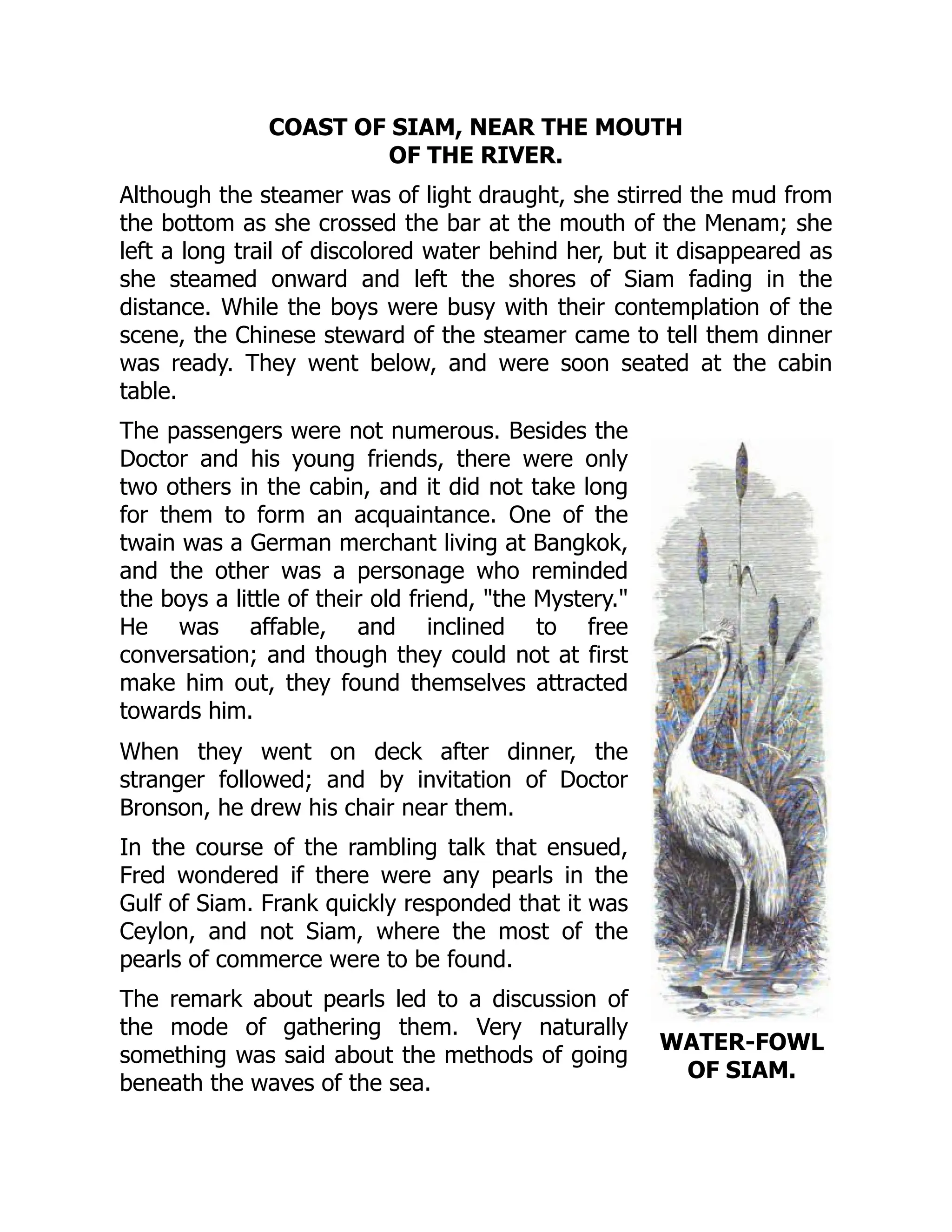 WATER-FOWL
OF SIAM.
COAST OF SIAM, NEAR THE MOUTH
OF THE RIVER.
Although the steamer was of light draught, she stirred the mud from
the bottom as she crossed the bar at the mouth of the Menam; she
left a long trail of discolored water behind her, but it disappeared as
she steamed onward and left the shores of Siam fading in the
distance. While the boys were busy with their contemplation of the
scene, the Chinese steward of the steamer came to tell them dinner
was ready. They went below, and were soon seated at the cabin
table.
The passengers were not numerous. Besides the
Doctor and his young friends, there were only
two others in the cabin, and it did not take long
for them to form an acquaintance. One of the
twain was a German merchant living at Bangkok,
and the other was a personage who reminded
the boys a little of their old friend, "the Mystery."
He was affable, and inclined to free
conversation; and though they could not at first
make him out, they found themselves attracted
towards him.
When they went on deck after dinner, the
stranger followed; and by invitation of Doctor
Bronson, he drew his chair near them.
In the course of the rambling talk that ensued,
Fred wondered if there were any pearls in the
Gulf of Siam. Frank quickly responded that it was
Ceylon, and not Siam, where the most of the
pearls of commerce were to be found.
The remark about pearls led to a discussion of
the mode of gathering them. Very naturally
something was said about the methods of going
beneath the waves of the sea.
 