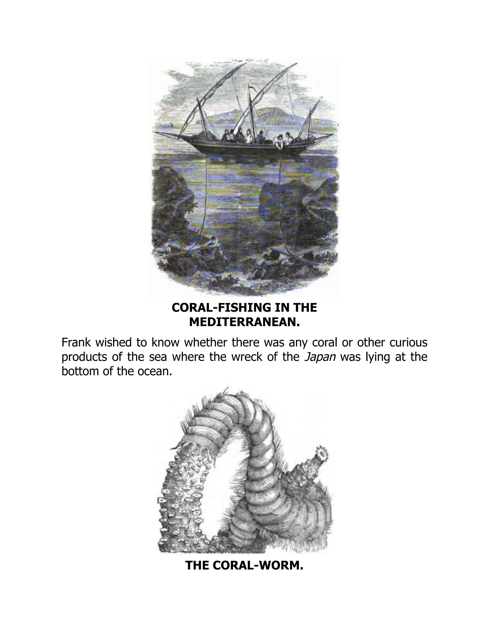 CORAL-FISHING IN THE
MEDITERRANEAN.
Frank wished to know whether there was any coral or other curious
products of the sea where the wreck of the Japan was lying at the
bottom of the ocean.
THE CORAL-WORM.
 