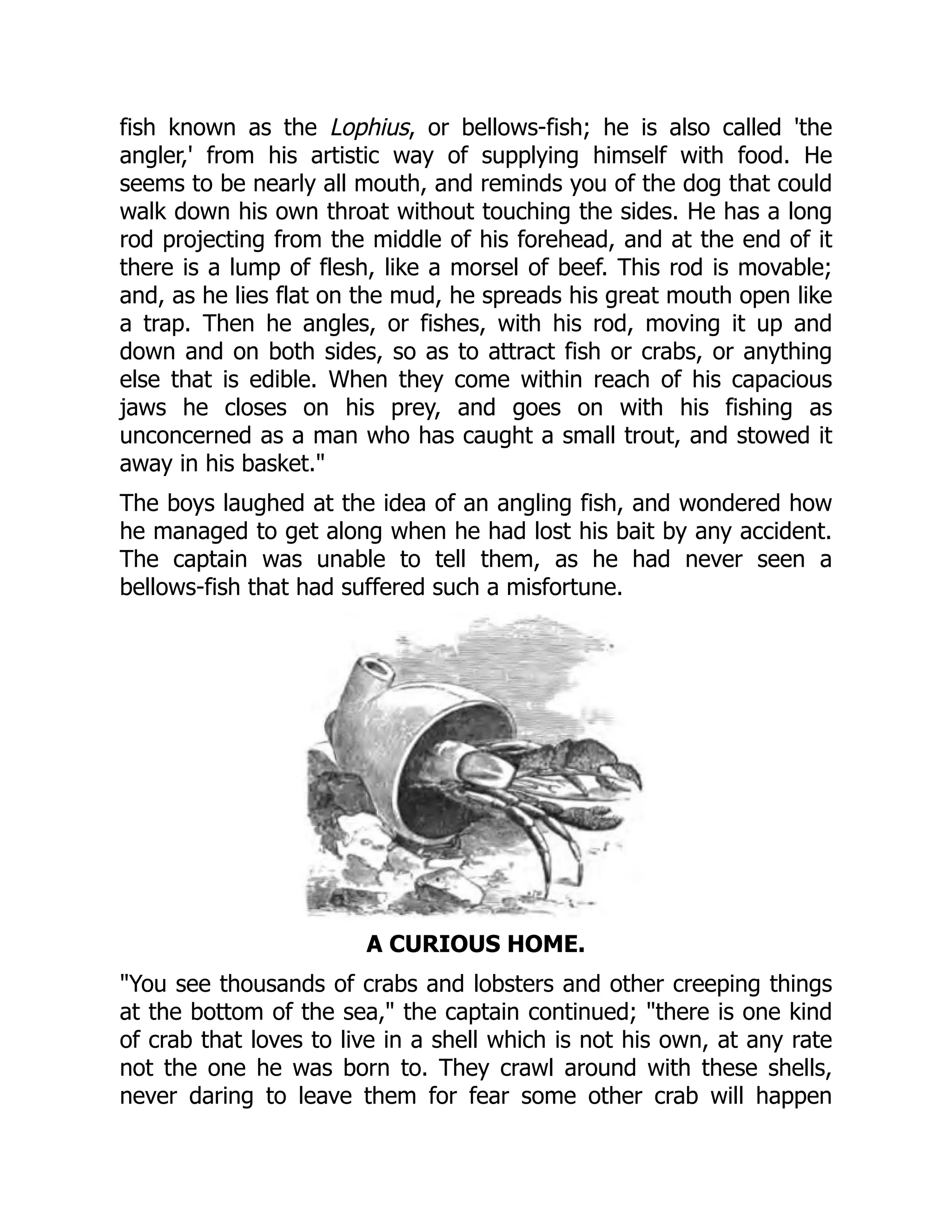 fish known as the Lophius, or bellows-fish; he is also called 'the
angler,' from his artistic way of supplying himself with food. He
seems to be nearly all mouth, and reminds you of the dog that could
walk down his own throat without touching the sides. He has a long
rod projecting from the middle of his forehead, and at the end of it
there is a lump of flesh, like a morsel of beef. This rod is movable;
and, as he lies flat on the mud, he spreads his great mouth open like
a trap. Then he angles, or fishes, with his rod, moving it up and
down and on both sides, so as to attract fish or crabs, or anything
else that is edible. When they come within reach of his capacious
jaws he closes on his prey, and goes on with his fishing as
unconcerned as a man who has caught a small trout, and stowed it
away in his basket."
The boys laughed at the idea of an angling fish, and wondered how
he managed to get along when he had lost his bait by any accident.
The captain was unable to tell them, as he had never seen a
bellows-fish that had suffered such a misfortune.
A CURIOUS HOME.
"You see thousands of crabs and lobsters and other creeping things
at the bottom of the sea," the captain continued; "there is one kind
of crab that loves to live in a shell which is not his own, at any rate
not the one he was born to. They crawl around with these shells,
never daring to leave them for fear some other crab will happen
 
