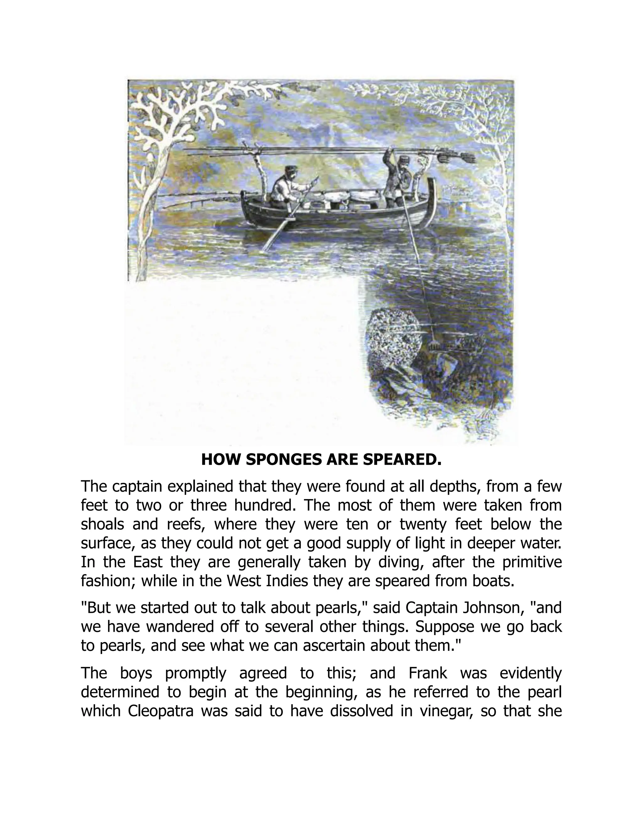 HOW SPONGES ARE SPEARED.
The captain explained that they were found at all depths, from a few
feet to two or three hundred. The most of them were taken from
shoals and reefs, where they were ten or twenty feet below the
surface, as they could not get a good supply of light in deeper water.
In the East they are generally taken by diving, after the primitive
fashion; while in the West Indies they are speared from boats.
"But we started out to talk about pearls," said Captain Johnson, "and
we have wandered off to several other things. Suppose we go back
to pearls, and see what we can ascertain about them."
The boys promptly agreed to this; and Frank was evidently
determined to begin at the beginning, as he referred to the pearl
which Cleopatra was said to have dissolved in vinegar, so that she
 