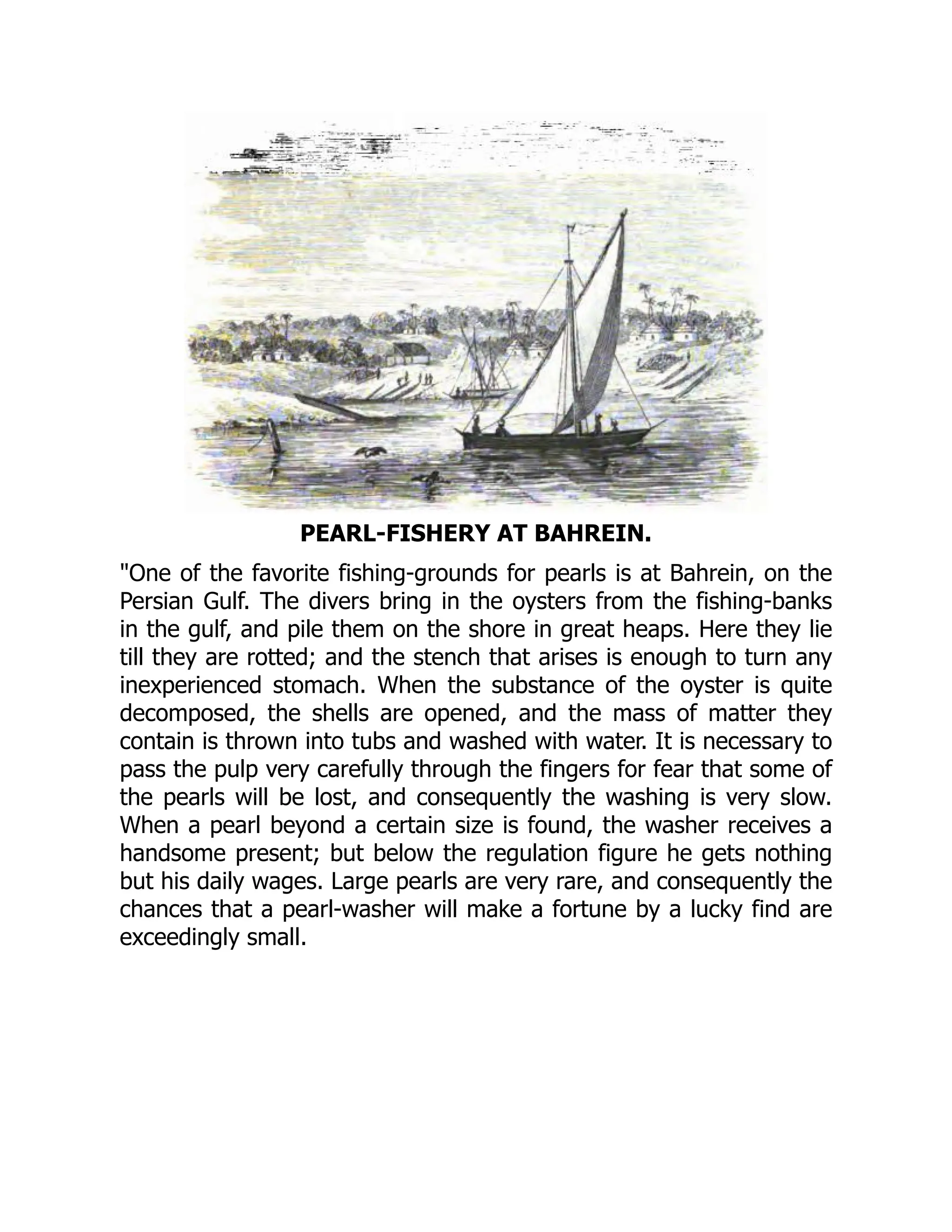 PEARL-FISHERY AT BAHREIN.
"One of the favorite fishing-grounds for pearls is at Bahrein, on the
Persian Gulf. The divers bring in the oysters from the fishing-banks
in the gulf, and pile them on the shore in great heaps. Here they lie
till they are rotted; and the stench that arises is enough to turn any
inexperienced stomach. When the substance of the oyster is quite
decomposed, the shells are opened, and the mass of matter they
contain is thrown into tubs and washed with water. It is necessary to
pass the pulp very carefully through the fingers for fear that some of
the pearls will be lost, and consequently the washing is very slow.
When a pearl beyond a certain size is found, the washer receives a
handsome present; but below the regulation figure he gets nothing
but his daily wages. Large pearls are very rare, and consequently the
chances that a pearl-washer will make a fortune by a lucky find are
exceedingly small.
 