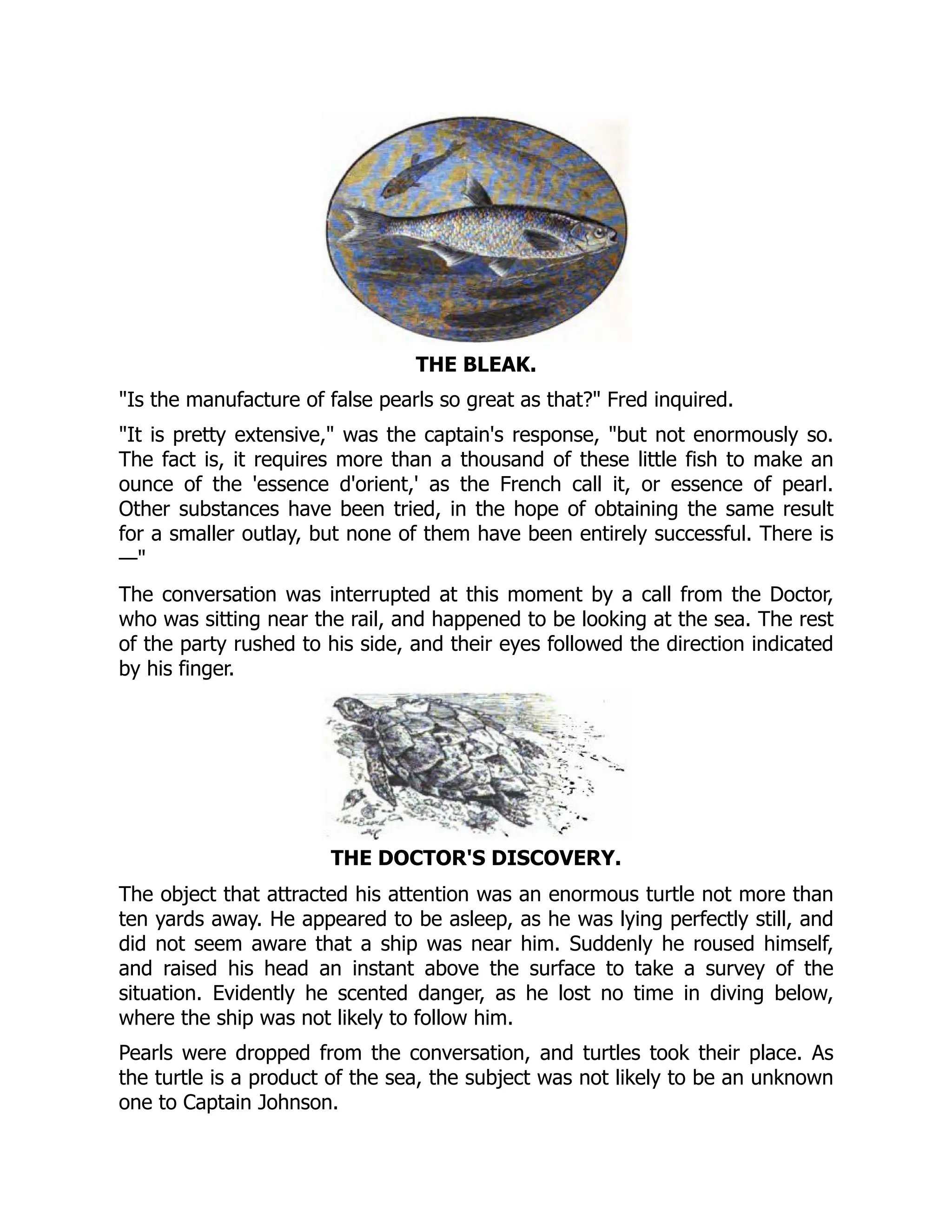 THE BLEAK.
"Is the manufacture of false pearls so great as that?" Fred inquired.
"It is pretty extensive," was the captain's response, "but not enormously so.
The fact is, it requires more than a thousand of these little fish to make an
ounce of the 'essence d'orient,' as the French call it, or essence of pearl.
Other substances have been tried, in the hope of obtaining the same result
for a smaller outlay, but none of them have been entirely successful. There is
—"
The conversation was interrupted at this moment by a call from the Doctor,
who was sitting near the rail, and happened to be looking at the sea. The rest
of the party rushed to his side, and their eyes followed the direction indicated
by his finger.
THE DOCTOR'S DISCOVERY.
The object that attracted his attention was an enormous turtle not more than
ten yards away. He appeared to be asleep, as he was lying perfectly still, and
did not seem aware that a ship was near him. Suddenly he roused himself,
and raised his head an instant above the surface to take a survey of the
situation. Evidently he scented danger, as he lost no time in diving below,
where the ship was not likely to follow him.
Pearls were dropped from the conversation, and turtles took their place. As
the turtle is a product of the sea, the subject was not likely to be an unknown
one to Captain Johnson.
 