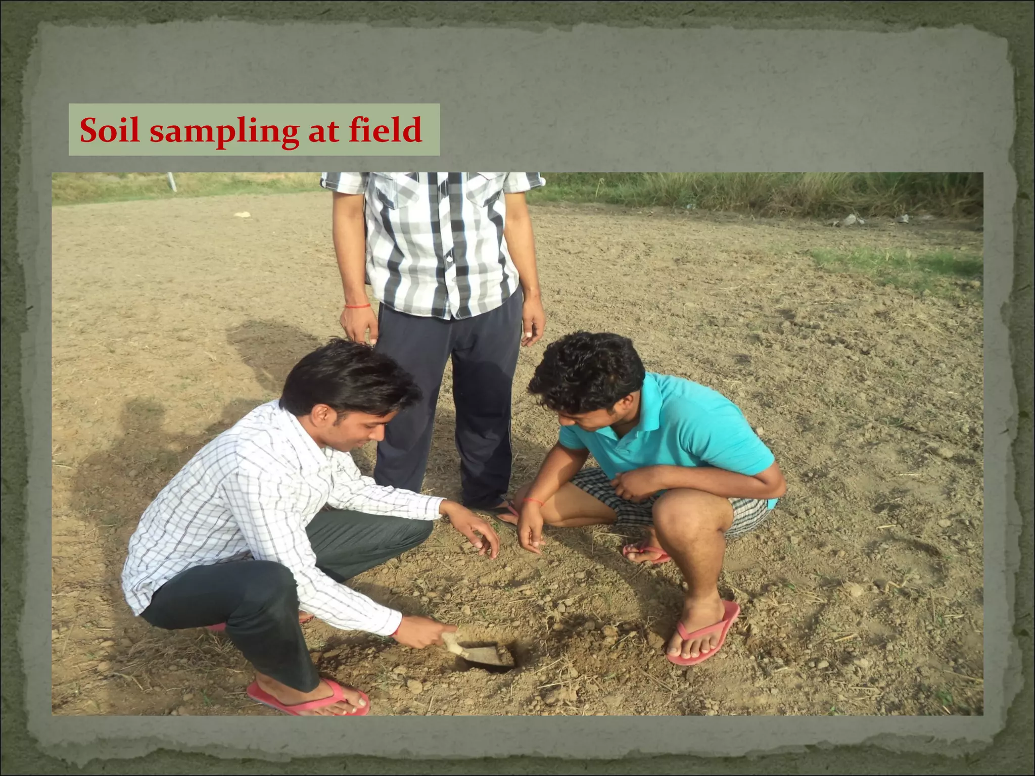 Soil sampling at field
 