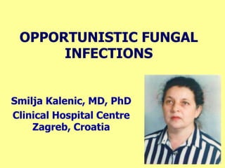 OPPORTUNISTIC FUNGAL
INFECTIONS
Smilja Kalenic, MD, PhD
Clinical Hospital Centre
Zagreb, Croatia
 