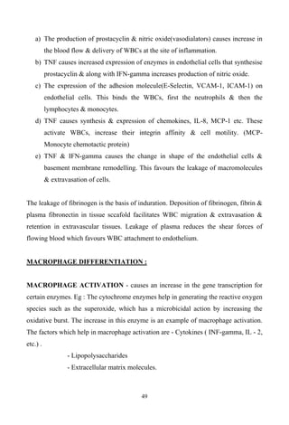 49
a) The production of prostacyclin & nitric oxide(vasodialators) causes increase in
the blood flow & delivery of WBCs at the site of inflammation.
b) TNF causes increased expression of enzymes in endothelial cells that synthesise
prostacyclin & along with IFN-gamma increases production of nitric oxide.
c) The expression of the adhesion molecule(E-Selectin, VCAM-1, ICAM-1) on
endothelial cells. This binds the WBCs, first the neutrophils & then the
lymphocytes & monocytes.
d) TNF causes synthesis & expression of chemokines, IL-8, MCP-1 etc. These
activate WBCs, increase their integrin affinity & cell motility. (MCP-
Monocyte chemotactic protein)
e) TNF & IFN-gamma causes the change in shape of the endothelial cells &
basement membrane remodelling. This favours the leakage of macromolecules
& extravasation of cells.
The leakage of fibrinogen is the basis of induration. Deposition of fibrinogen, fibrin &
plasma fibronectin in tissue sccafold facilitates WBC migration & extravasation &
retention in extravascular tissues. Leakage of plasma reduces the shear forces of
flowing blood which favours WBC attachment to endothelium.
MACROPHAGE DIFFERENTIATION :
MACROPHAGE ACTIVATION - causes an increase in the gene transcription for
certain enzymes. Eg : The cytochrome enzymes help in generating the reactive oxygen
species such as the superoxide, which has a microbicidal action by increasing the
oxidative burst. The increase in this enzyme is an example of macrophage activation.
The factors which help in macrophage activation are - Cytokines ( INF-gamma, IL - 2,
etc.) .
- Lipopolysaccharides
- Extracellular matrix molecules.
 