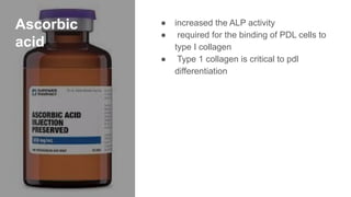 Ascorbic
acid
● increased the ALP activity
● required for the binding of PDL cells to
type I collagen
● Type 1 collagen is critical to pdl
differentiation
 
