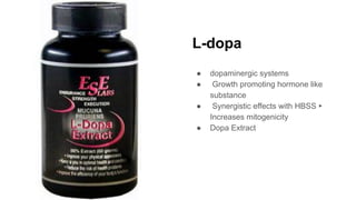 L-dopa
● dopaminergic systems
● Growth promoting hormone like
substance
● Synergistic effects with HBSS ▸
Increases mitogenicity
● Dopa Extract
 